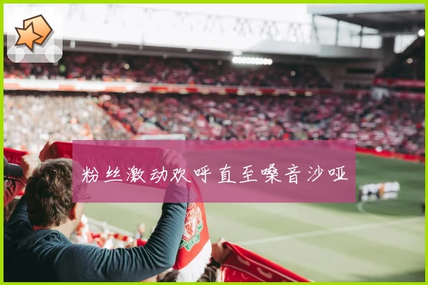 粉丝激动欢呼直至嗓音沙哑