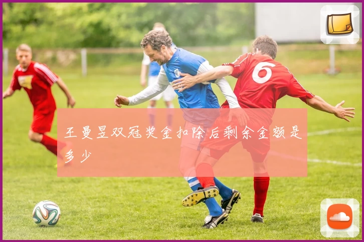王曼昱双冠奖金扣除后剩余金额是多少