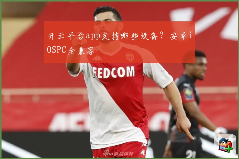 开云平台app支持哪些设备？安卓iOSPC全兼容