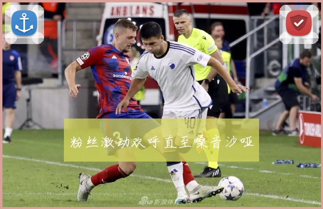 粉丝激动欢呼直至嗓音沙哑