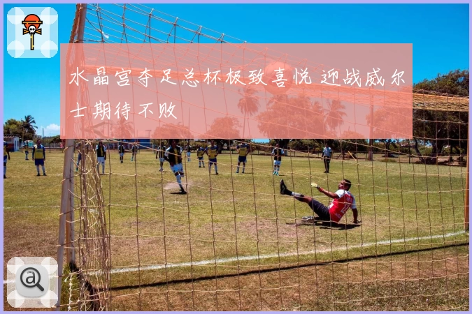 水晶宫夺足总杯极致喜悦 迎战威尔士期待不败