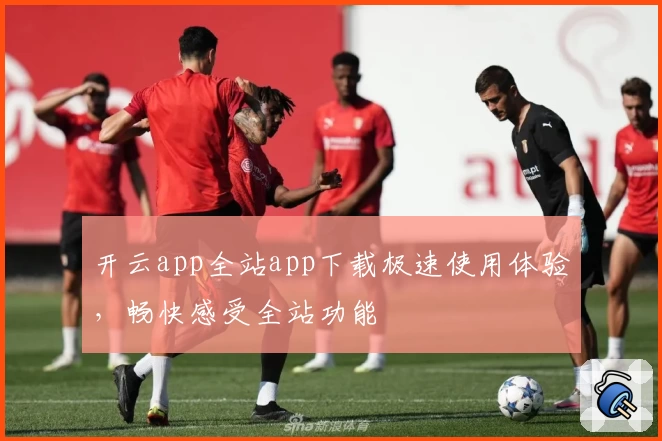 开云app全站app下载极速使用体验,畅快感受全站功能